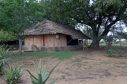 Kenia (320)